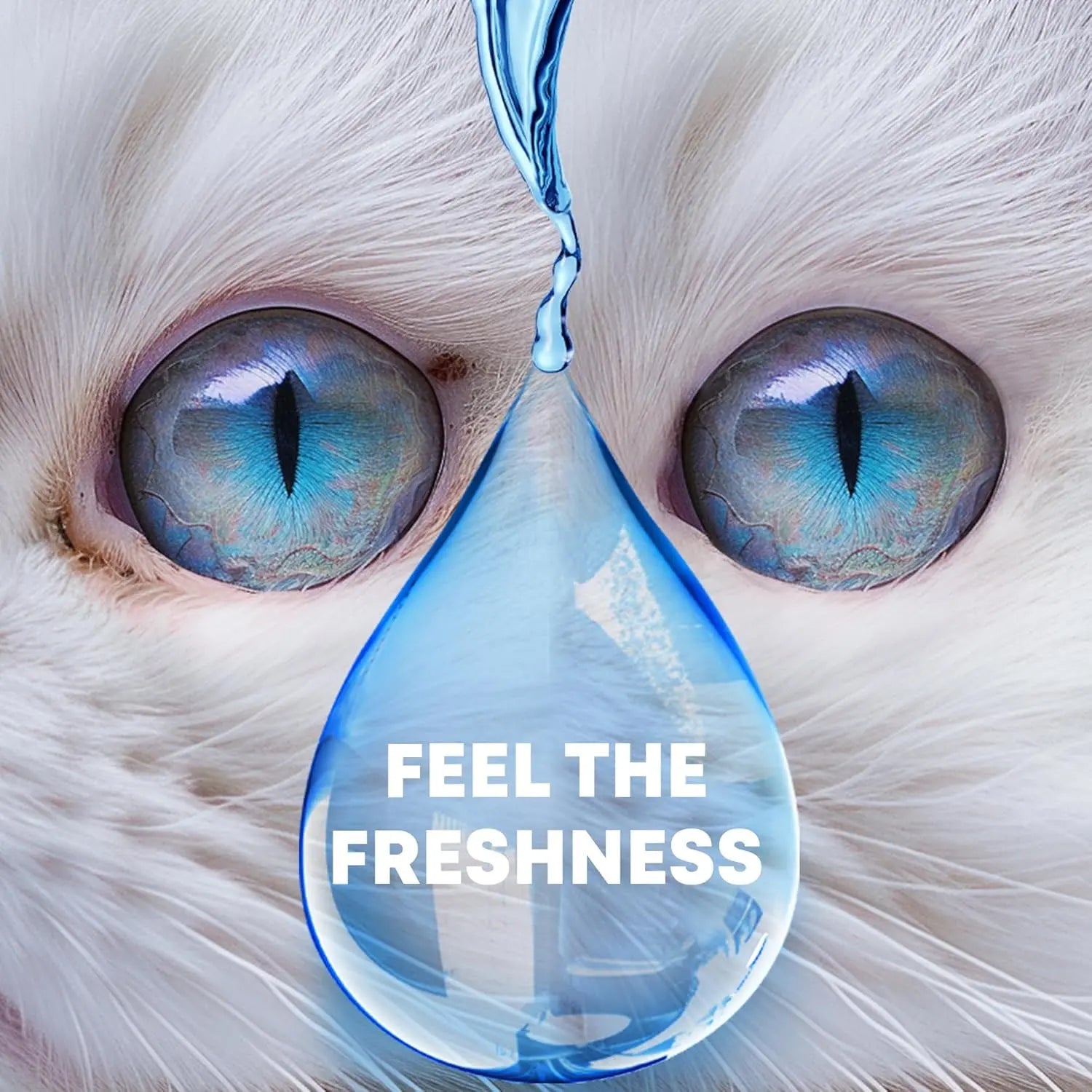 Dog Eye Drops & Eye Infection Treatment for Dogs and Cats – Soothe Infection & Allergy, Relieve Dry Eyes & Pink Eye, Pet Tear Stain Wash & Cleaner - Kitten Eye Drops for Discharge, Eye Rinse & Flush